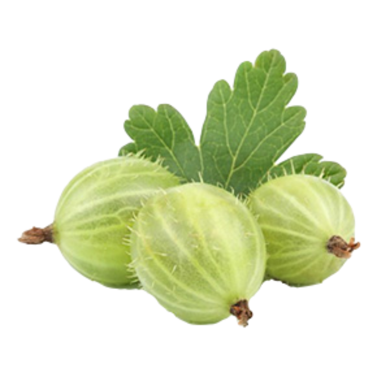 Аґрус свіжий, першого товарного сорту, діаметр не менше 25 мм, ДСТУ 7022, 1 кг